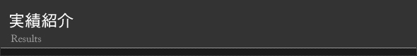 実績紹介