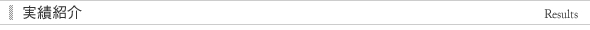 実績紹介